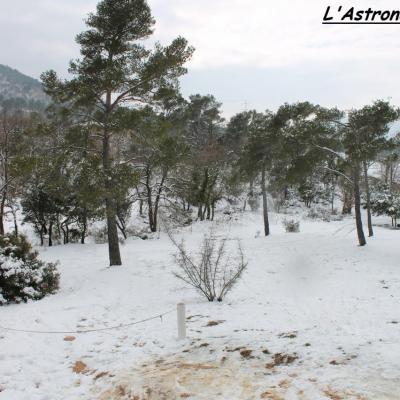 Verte ou blanche, que la nature est belle!