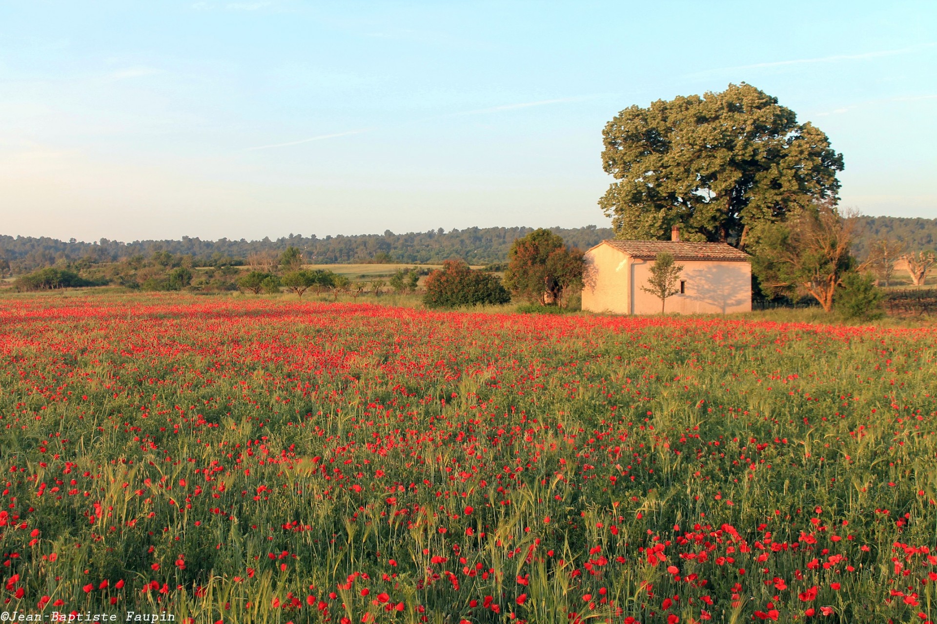 La Provence dans toute sa splendeur...